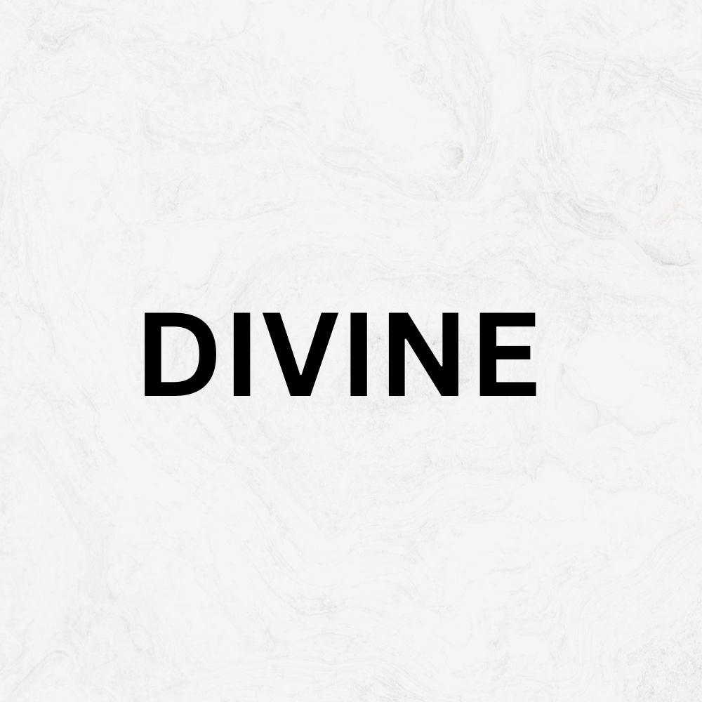 visa agent in Kolkata